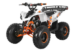 TrailMaster F125 Mid 125R Utility (8") UTV 4-Wheeler