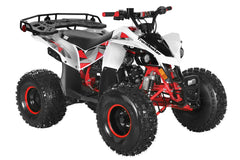 TrailMaster F125 Mid 125R Utility (8") UTV 4-Wheeler