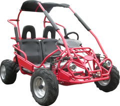 TRAILMASTER Mid XRX  2-SEATER GO KART