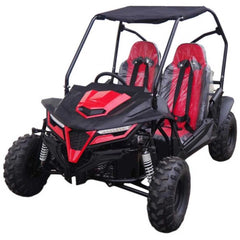 TRAILMASTER CHEETAH 8 2-SEATER GO KART