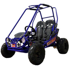 TRAILMASTER Mini XRX+ 2-SEATER GO-KART EAGLE SERIES 163cc