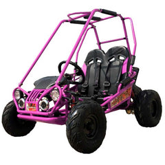 TRAILMASTER Mini XRX+ 2-SEATER GO-KART EAGLE SERIES 163cc