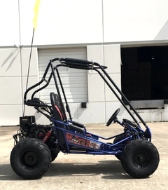 TRAILMASTER Mini XRX+ 2-SEATER GO-KART EAGLE SERIES 163cc