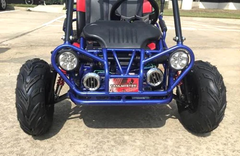 TRAILMASTER Mini XRX+ 2-SEATER GO-KART EAGLE SERIES 163cc