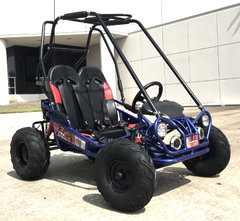 TRAILMASTER Mini XRX+ 2-SEATER GO-KART EAGLE SERIES 163cc