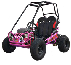 TRAILMASTER Mini XRX+ A Assembled Ver. 2-SEATER