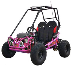 TRAILMASTER Mini XRX/R+ 2-SEATER GO KART