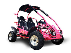 TRAILMASTER Mid XRX/R 2-SEATER GO KART