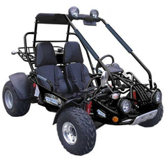 TRAILMASTER 200 XRX 2-SEATER GO KART