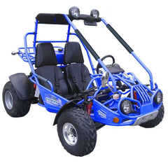 TRAILMASTER 200 XRX 2-SEATER GO KART