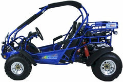 TRAILMASTER 300 XRX-E GO-KART WITH FUEL INJECTION, LIQUID COOLING, AND SHAFT DRIVE