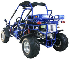 TRAILMASTER 300 XRX-E GO-KART WITH FUEL INJECTION, LIQUID COOLING, AND SHAFT DRIVE