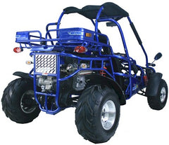 TRAILMASTER 300 XRX-E GO-KART WITH FUEL INJECTION, LIQUID COOLING, AND SHAFT DRIVE