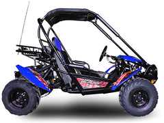 TRAILMASTER BLAZER 200 (Clearance) 2-SEATER GO KART