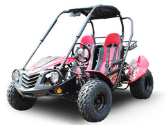 TRAILMASTER BLAZER 200 (Clearance) 2-SEATER GO KART