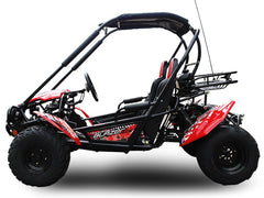 TRAILMASTER BLAZER 200 (Clearance) 2-SEATER GO KART