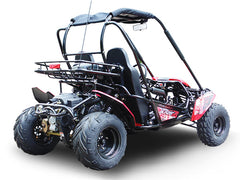 TRAILMASTER BLAZER 200 (Clearance) 2-SEATER GO KART