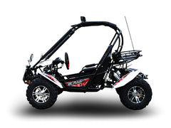 TRAILMASTER BLAZER 200X 2-SEATER GO KART