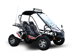 TRAILMASTER BLAZER 200X 2-SEATER GO KART