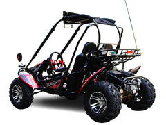 TRAILMASTER BLAZER 200X 2-SEATER GO KART