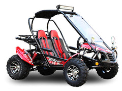 TRAILMASTER BLAZER 200X 2-SEATER GO KART