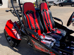 TRAILMASTER BLAZER 200EX EFI 2-SEATER GO KART