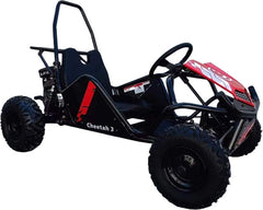 TRAILMASTER KART Cheetah 3