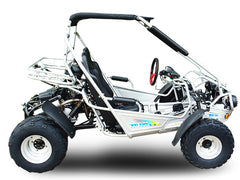 TRAILMASTER 300E XRS (EFI)