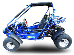 TRAILMASTER 300E XRS (EFI)