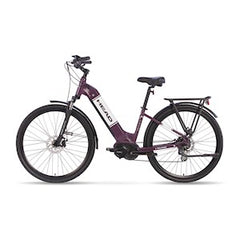 HEAD | E-GROOVE SHIMANO E-BIKE, 700C,  L/XL,  EGGPLANT