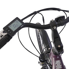 HEAD | E-GROOVE SHIMANO E-BIKE, 700C,  L/XL,  EGGPLANT