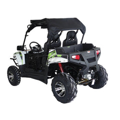 TRAILMASTER CHEETAH 200EX (EFI) UTV 2-SEATER