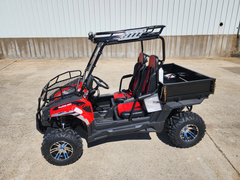 TRAILMASTER CHALLENGER 200E UX (EFI) UTV