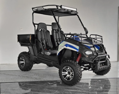 TRAILMASTER CHALLENGER 200E UX (EFI) UTV