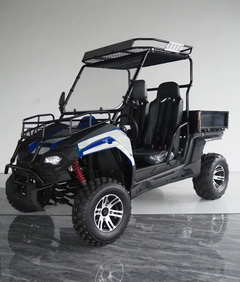 TRAILMASTER CHALLENGER 200E UX (EFI) UTV