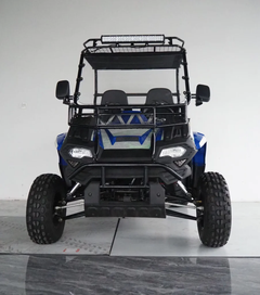 TRAILMASTER CHALLENGER 200E UX (EFI) UTV