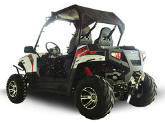 TRAILMASTER CHALLENGER 300EX (EFI) UTV 2-SEATER