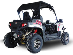 TRAILMASTER CHALLENGER 300EX (EFI) UTV 2-SEATER