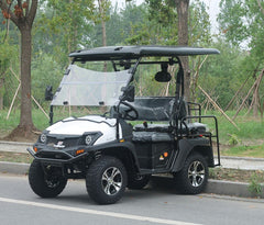 TRAILMASTER TAURUS 50EV Rear Seat Electric UTV