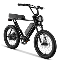 SWFT Z.X Compact All-Terrains Bike