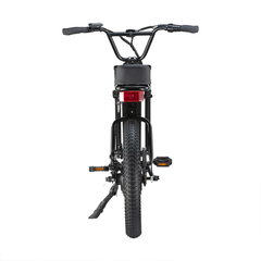 SWFT Z.X Compact All-Terrains Bike