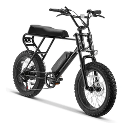 SWFT ZIP All-Terrain Fat Tire Electric Bike