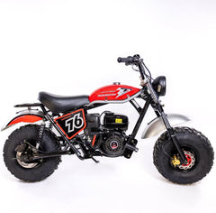 TRAILMASTER HURRICANE 200X 196cc Minibike