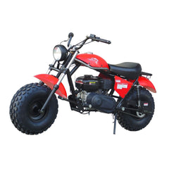 TRAILMASTER MB200-2 Minibike