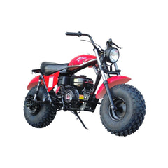 TRAILMASTER MB200-2 Minibike