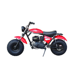 TRAILMASTER MB200-2 Minibike