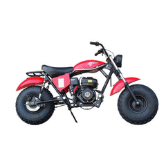 TRAILMASTER MB200-2 Minibike