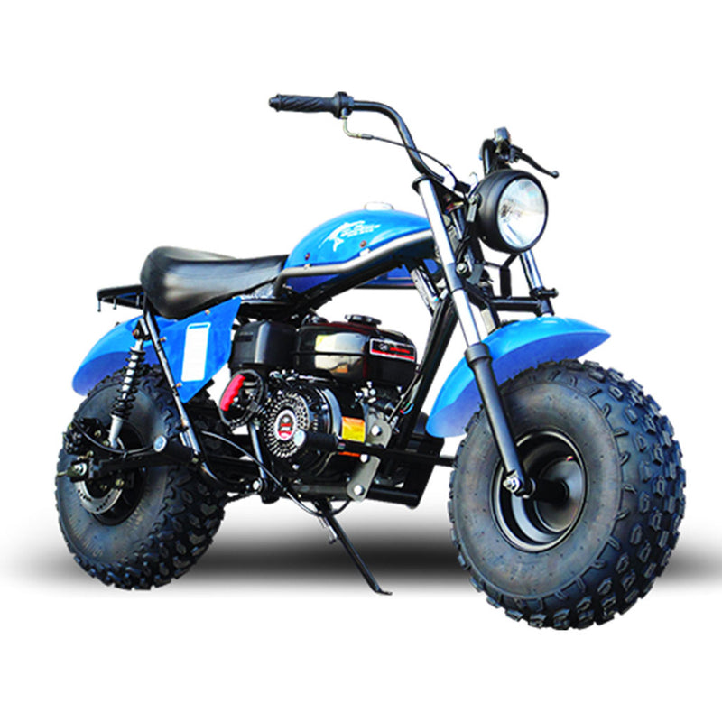 TRAILMASTER MB200-2 Minibike