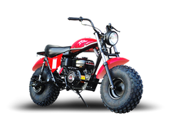 TRAILMASTER MB200-2 Minibike