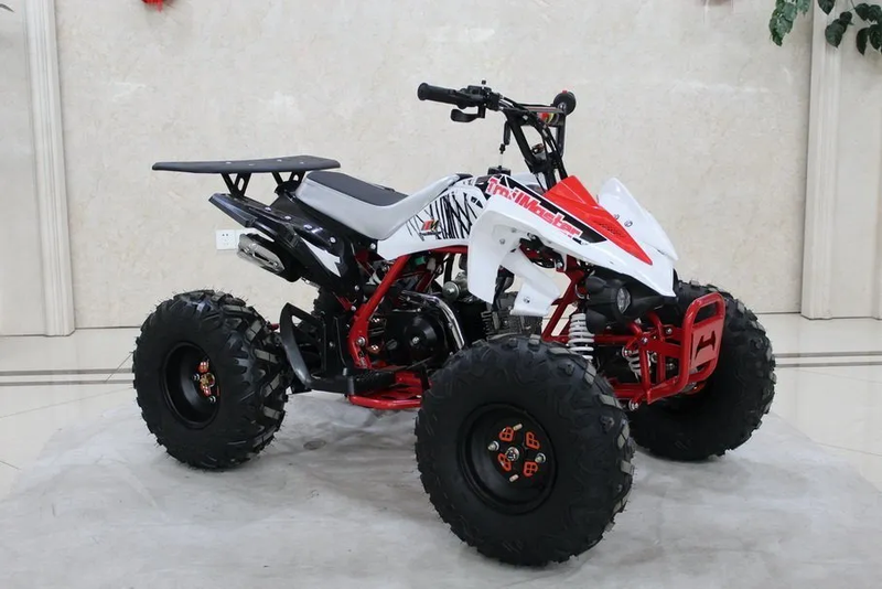 TrailMaster Mid 125R Sport (8